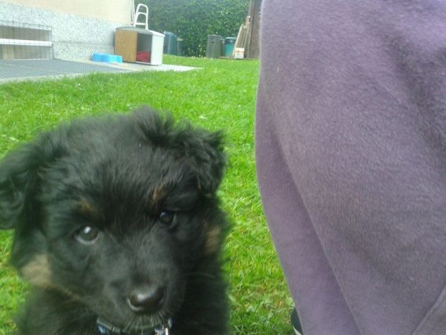 Una delle prime foto :)