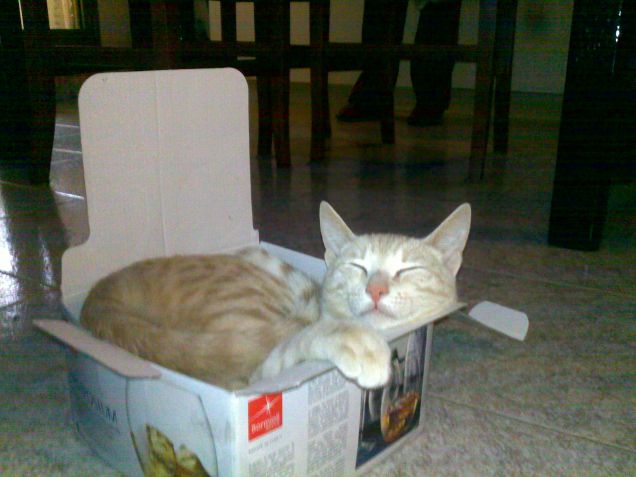 Lèon e la sua passione.