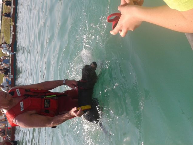 piscinaaa