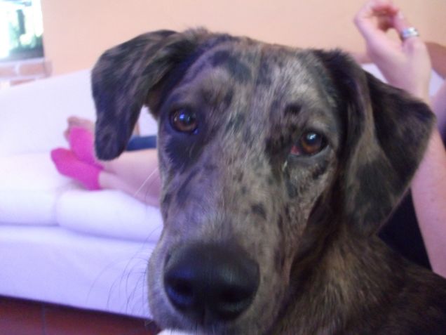 La Baghi si scatta un selfie