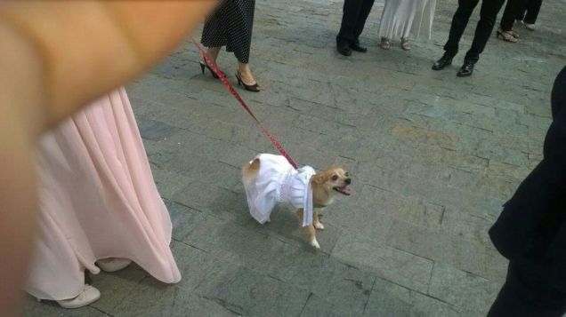 siamo pronti per festeggiare