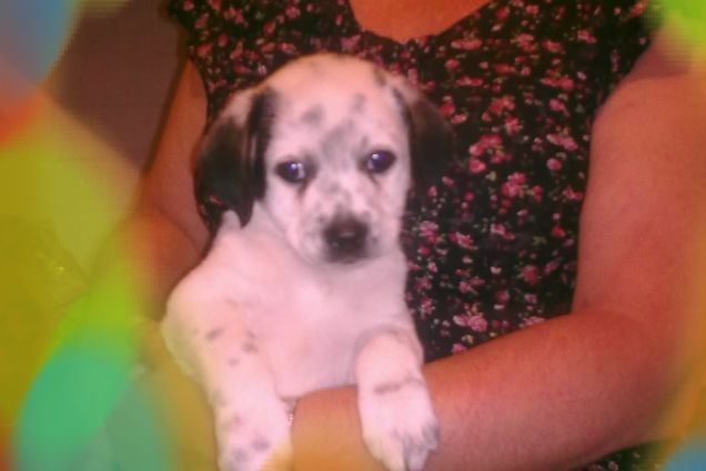 Qui' aveva 4 mesi........... 