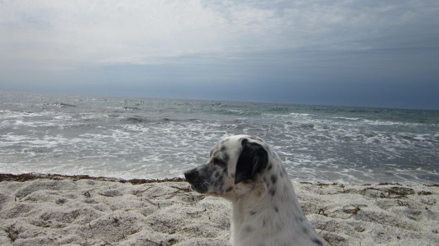 IS ARUTTAS..... SPIAGGIA E MARE STUPENDI
