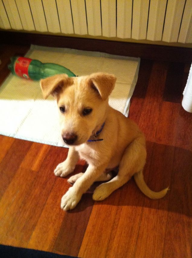 Primo giorno in casa 