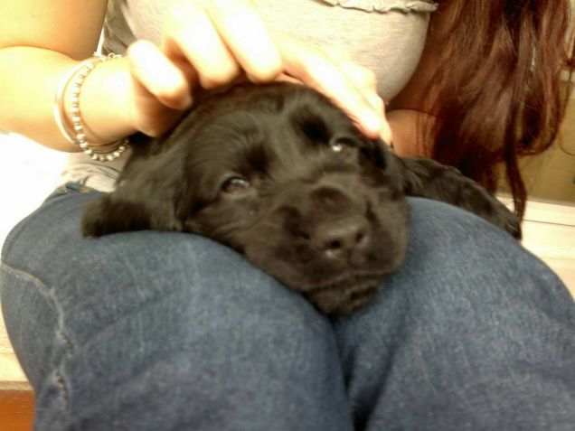 Jo piccola coccolosa