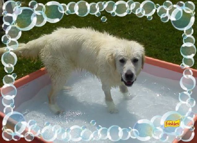 A Yago il bagno piace farlo così!