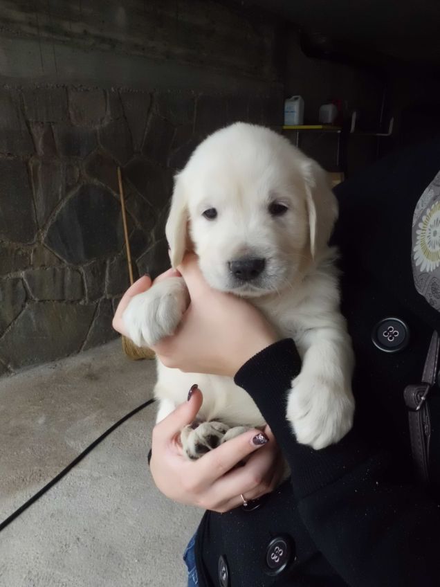 Yago a soli due mesi di età!