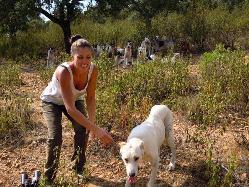 Progetto Animalista per la Vita - no profit