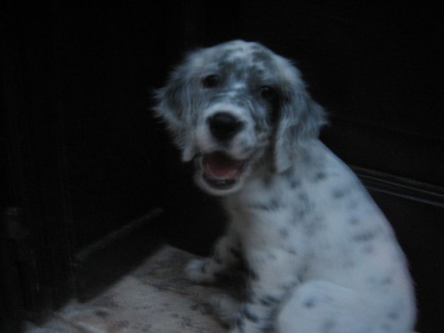 astuta già al 2°mese