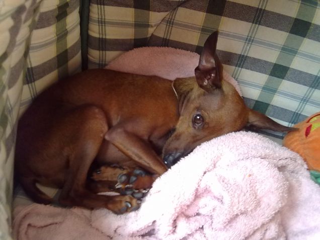 La gioia della mia vita  : D