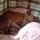 mypetandme