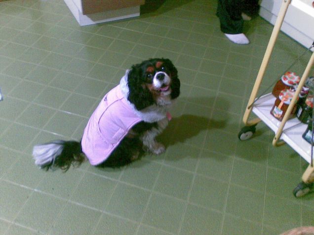 Asia con l'impermeabile