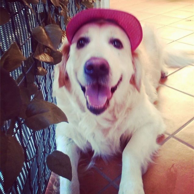 Meglio non prendere troppo sole