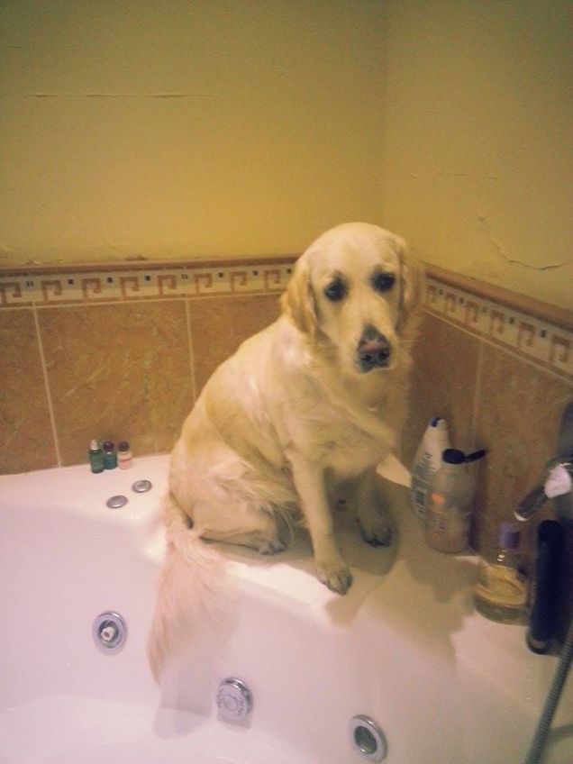 Il Bagnetto non s'adda fare