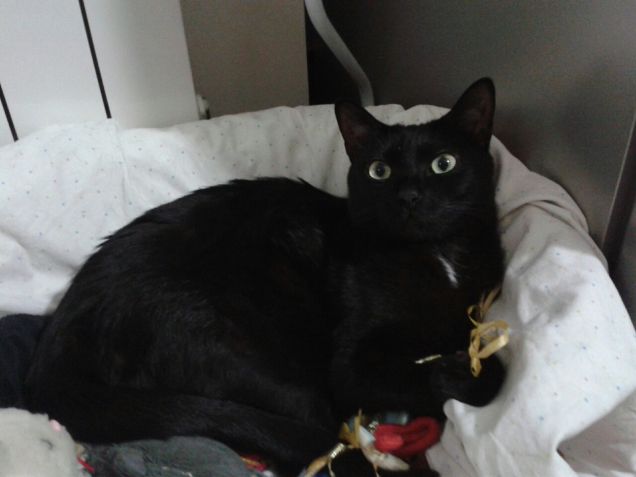 volevo dormire se non mi svegliavi!