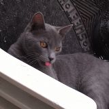 Da piccolo...e da grande