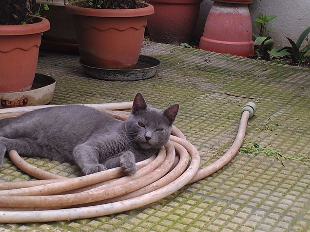 un giorno  sotto il sole 