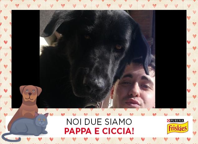 Migliora compagnia di sempre: Dolly 