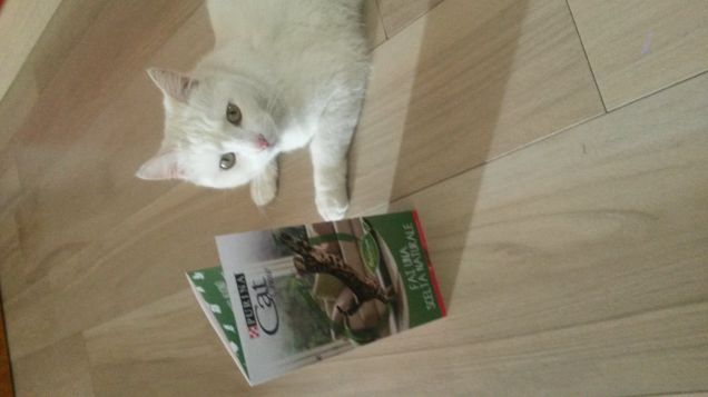 Mimi con i buoni sconto cat chow