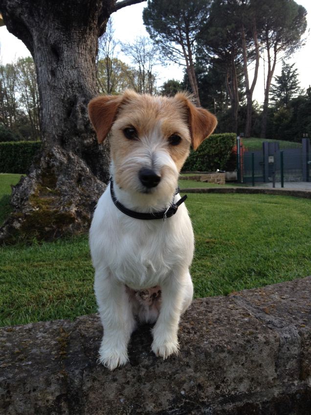 Cerco disperatamente Fidanzata !!!!!