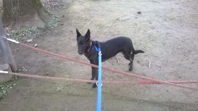 will al parco del vecchio passeggio