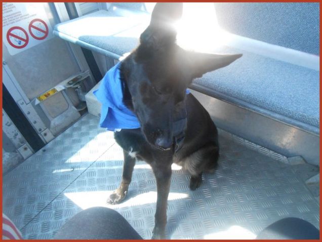 Prima volta in cabinovia