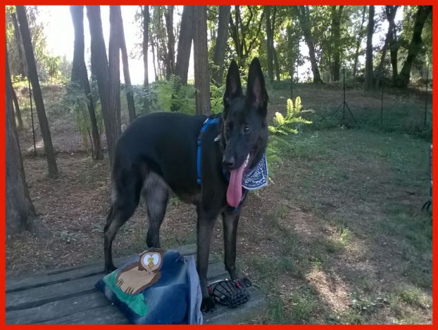 Ciao Ciao dal Parco Po