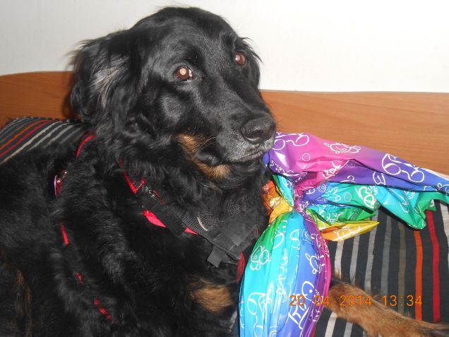 Hay Lin e l'uovo di Pasqua