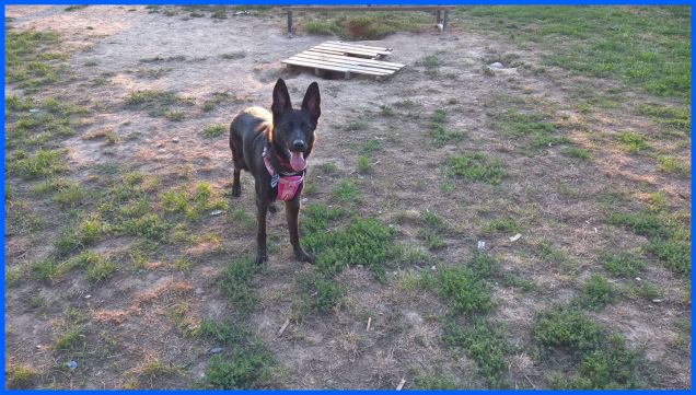 Ciao buon fine settimana