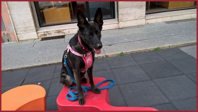 Adoro farmi fotografare