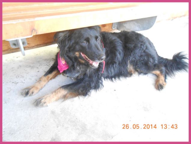 alla fermata del bus