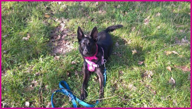 una domenica al parco