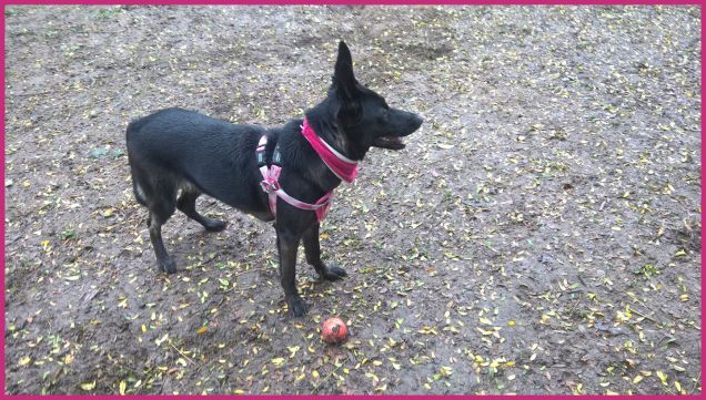 presto presto che devo giocare