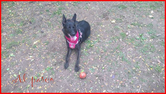 Foto di oggi 3 novembre 2016