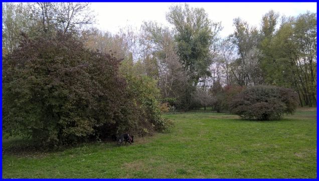 bello stare in mezzo al verde