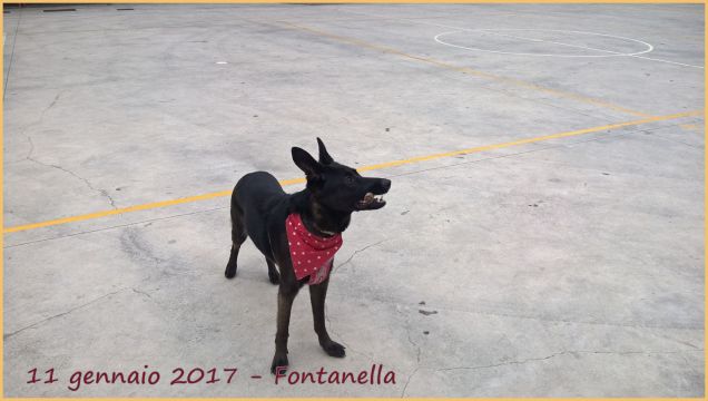 A Fontanella (BG)