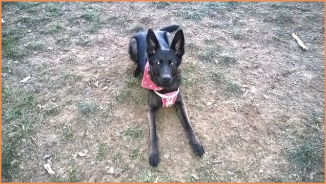 will al parco....uffi sono sempre sola