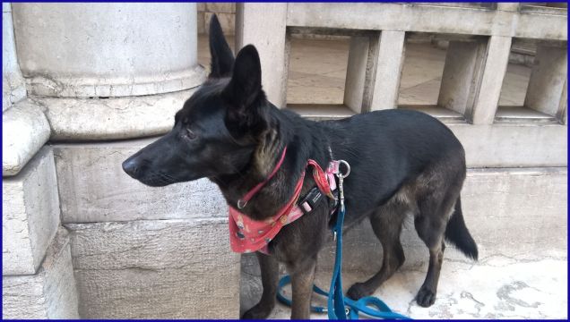 davanti alla posta centrale