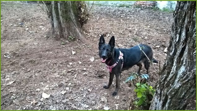 Foto di domenica 26 febbraio