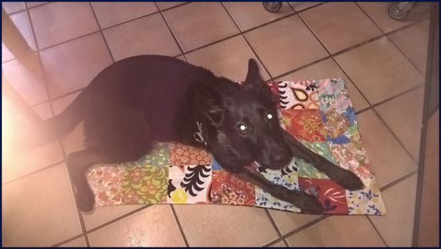 sulla mia copertina nuova