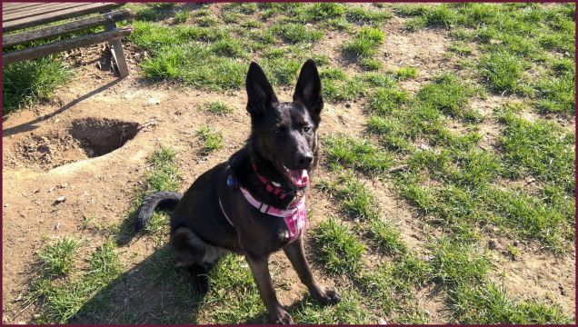 bau buon fine settimana