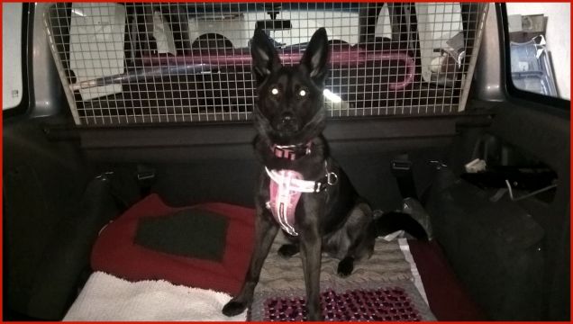 buona domenica di marzo