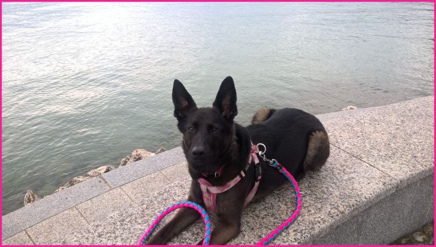 Ciao buon mese di aprile