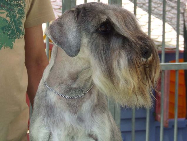 Ugo dopo lo stripping