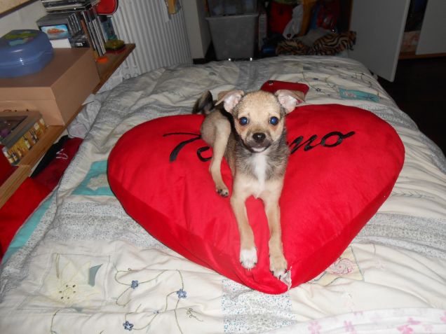 SUL CUORICINO DI MAMMA