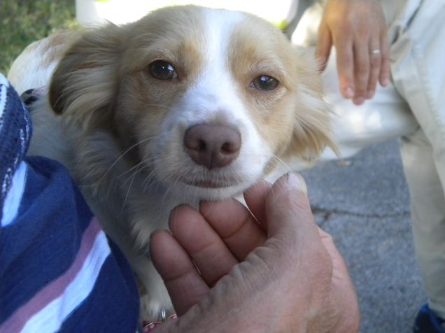 Un musetto tenero da coccolare!