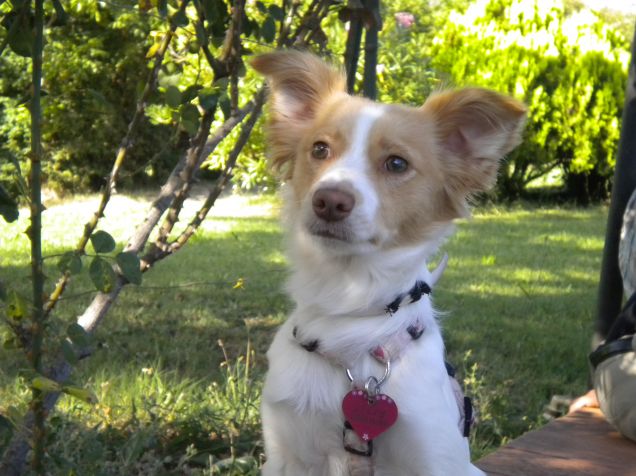 Una foto d'arte, perché il soggetto è stupendo!