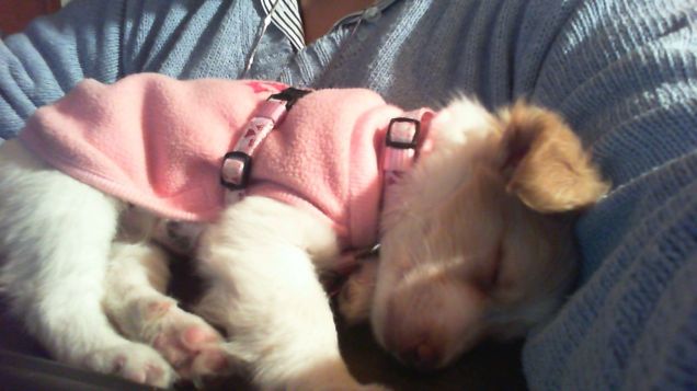 La mia piccola Lilly, quando aveva 2 mesi!