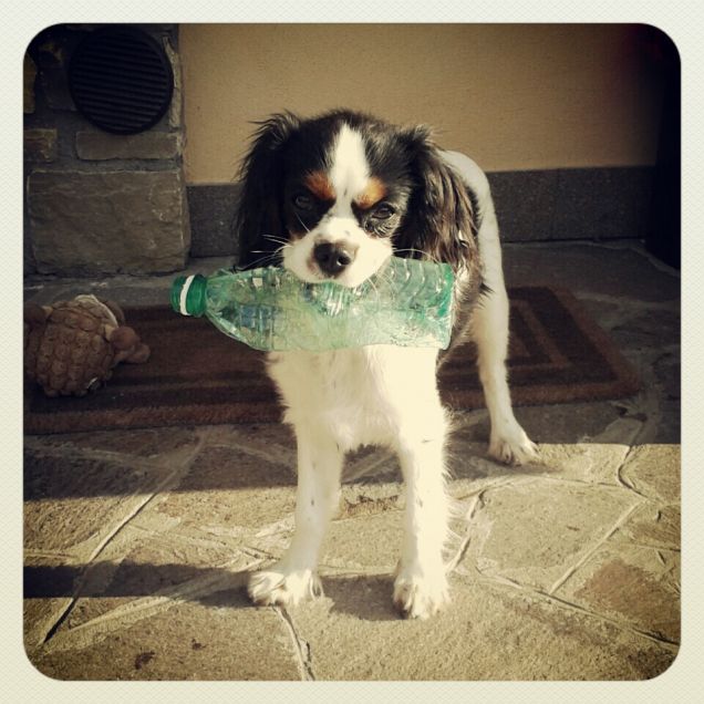 Io riciclo la plastica!