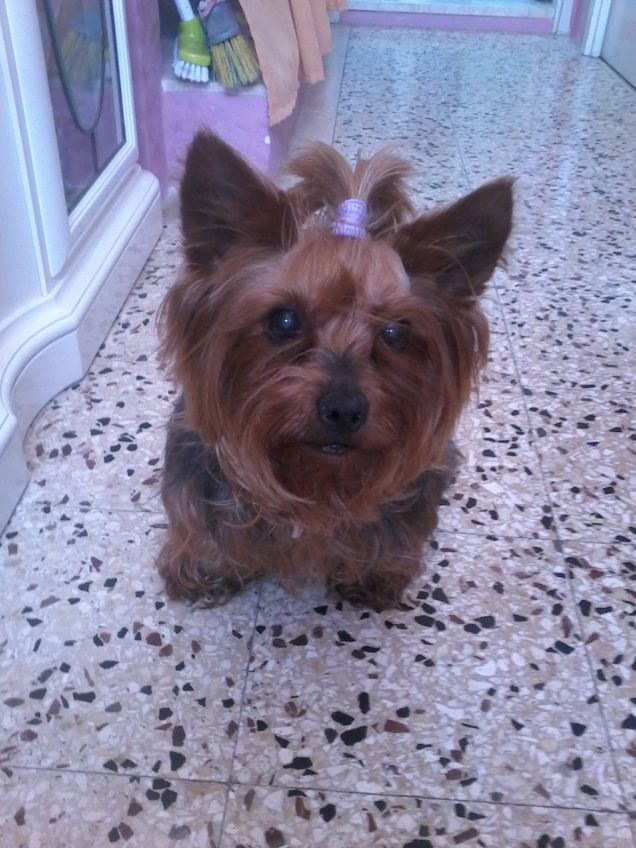 La mia cucciolina ♥